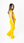 Canis Amarillo Antifluido