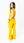 Canis Amarillo Antifluido